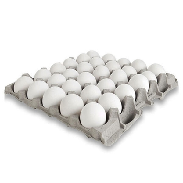 Eggs 1 Tray (30 Pcs)